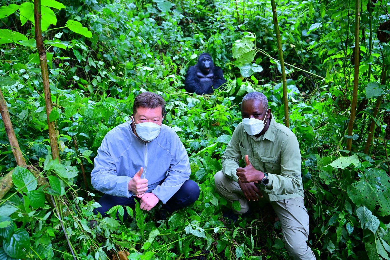 Czech Republic Parliament Speaker Tomio Okamura has named a newborn mountain gorilla “Tomáš”.